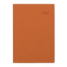 2025 AP13 스프링 다이어리 32절 - 오렌지