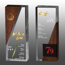 메탈 크리스탈 골프 트로피 S8A-246-56
